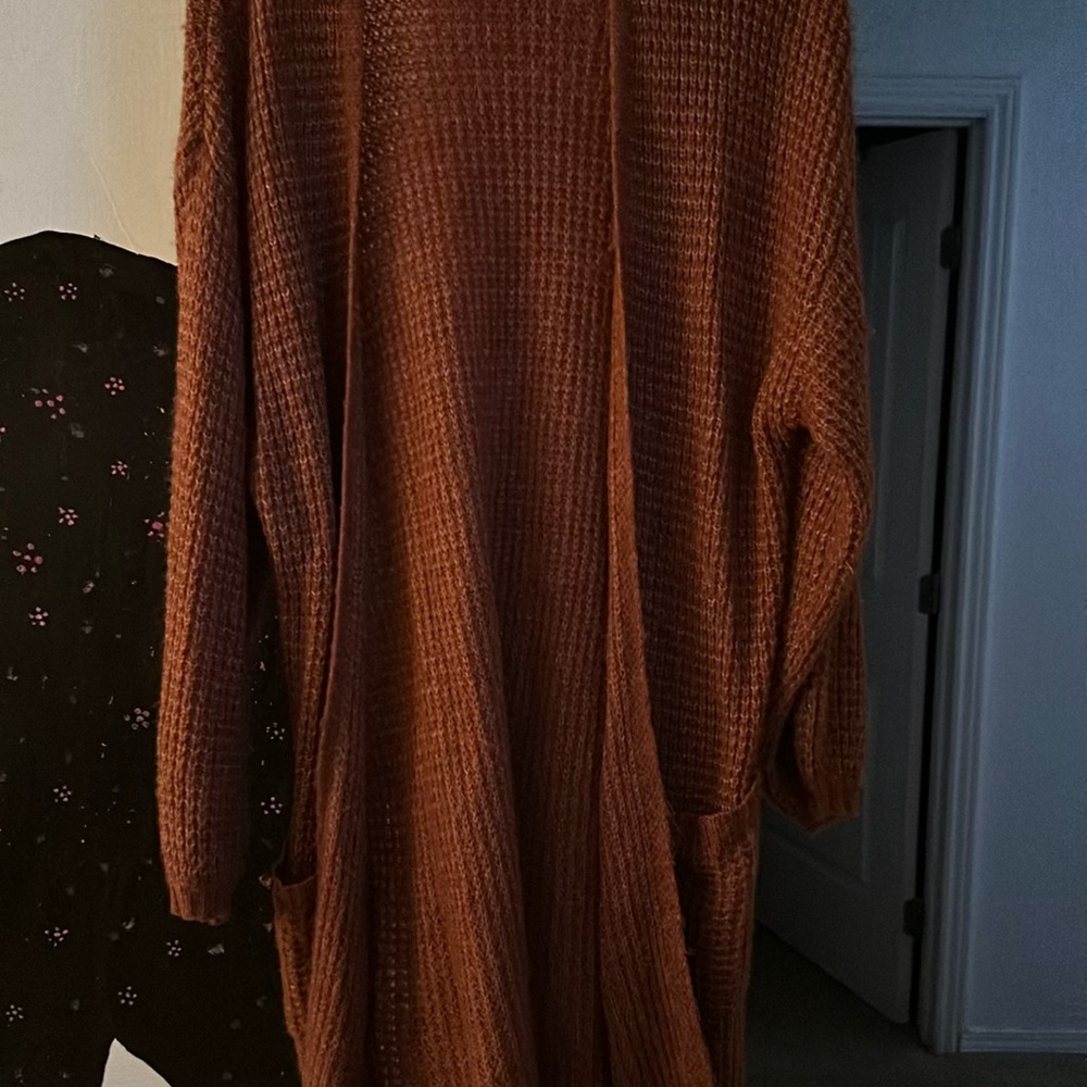 American Eagle Outfitters Brown Cardigan